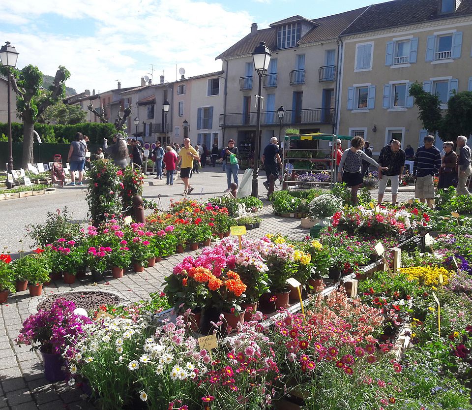 Marché aux fleurs annuel
