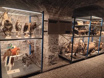 Exposition Ceci n'est pas une réserve - © Département des Hautes-Alpes Exposition Ceci n'est pas une réserve - © Département des Hautes-Alpes