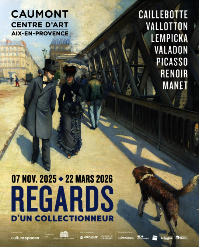 Escapade artistique : Regards d'un collectionneur_Gap