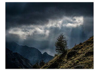 - © @TALLARTDPHOTOCLUB - © @TALLARTDPHOTOCLUB