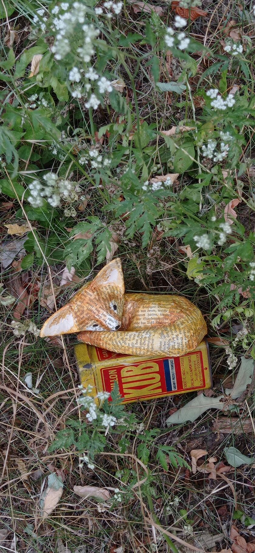 expo la loupiote. renard - © michelle flizot
