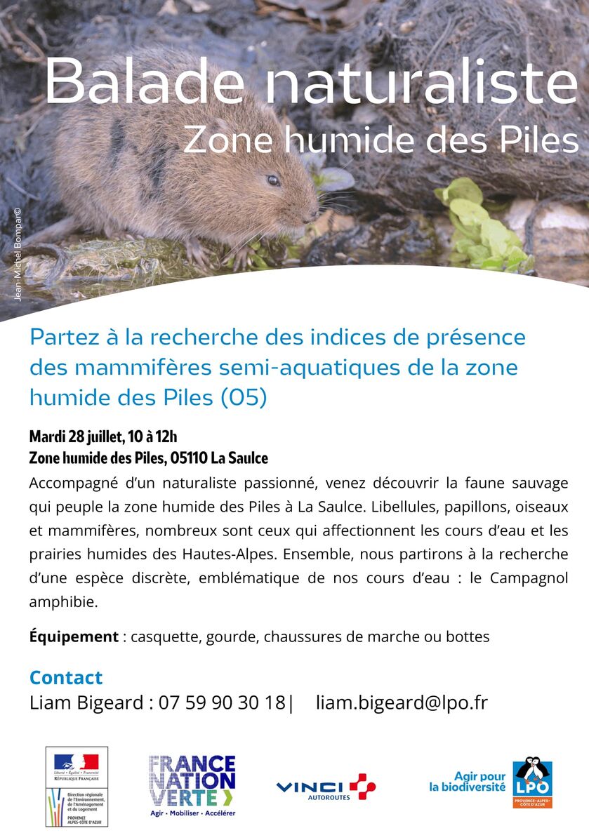Affiche balade naturaliste ZH Piles-1-1.jpg