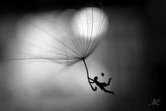 Le parapluie - © aude fruy et chloé fruy Le parapluie - © aude fruy et chloé fruy