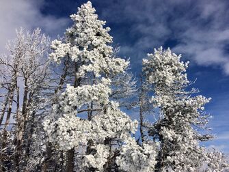 Regards d’Hiver : faune, neige, paysages_Gap - © Corinne Stanzer Regards d’Hiver : faune, neige, paysages_Gap - © Corinne Stanzer