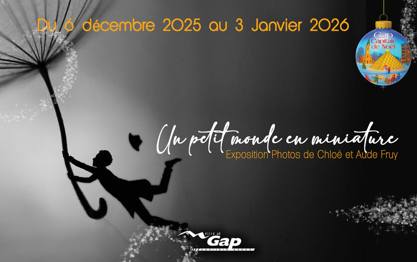Exposition 'Un petit monde en miniature'_Gap