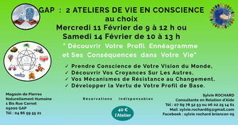 Atelier Ennéagramme n°1 - © ©Copyright 2026 Sylvie Rochard