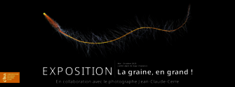 Exposition La Graine, en Grand ! - © JC. Cerre Exposition La Graine, en Grand ! - © JC. Cerre