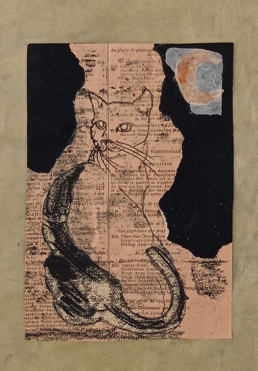 monotype chat - © malooka