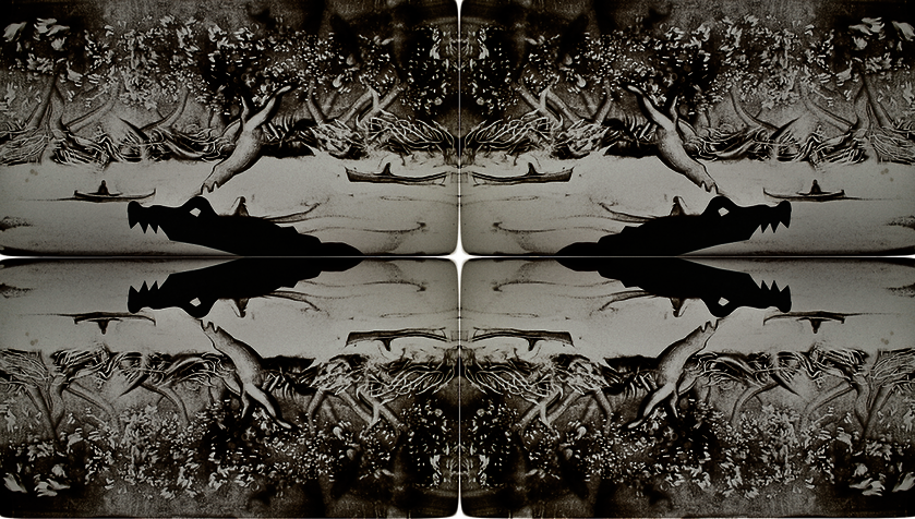 Les Contes Shipibos_Gap