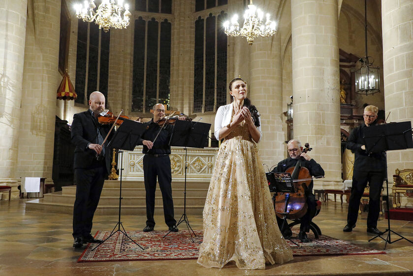 Violons de Prague - © Henri Bertand