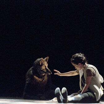 - © Elisabeth Carecchio - © Elisabeth Carecchio