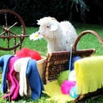 Rencontre avec les chèvres angora sur la Marché de Noël_Gap Rencontre avec les chèvres angora sur la Marché de Noël_Gap